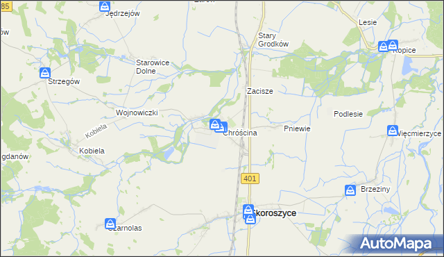 mapa Chróścina gmina Skoroszyce, Chróścina gmina Skoroszyce na mapie Targeo