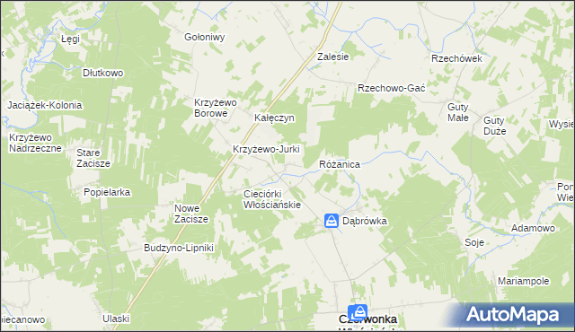 mapa Cieciórki Szlacheckie, Cieciórki Szlacheckie na mapie Targeo