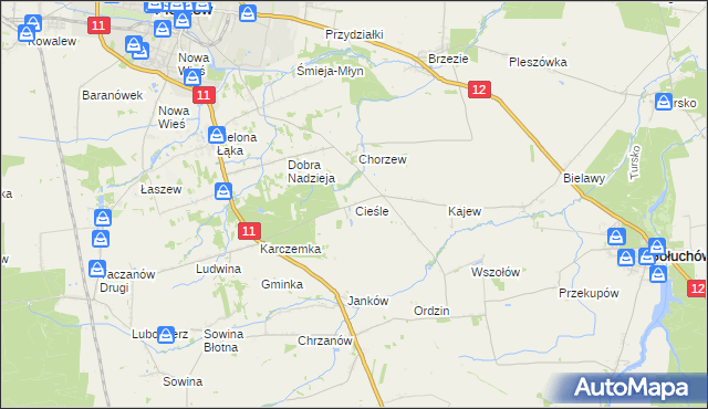 mapa Cieśle gmina Gołuchów, Cieśle gmina Gołuchów na mapie Targeo