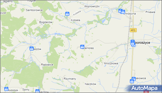 mapa Czarnolas gmina Skoroszyce, Czarnolas gmina Skoroszyce na mapie Targeo