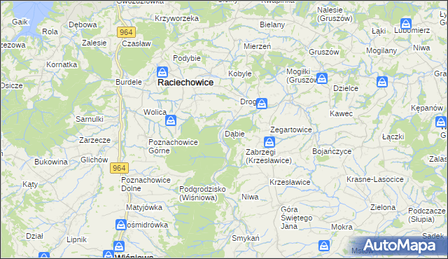 mapa Dąbie gmina Raciechowice, Dąbie gmina Raciechowice na mapie Targeo