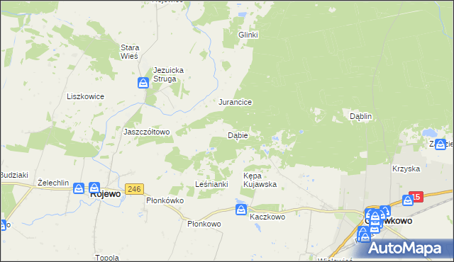 mapa Dąbie gmina Rojewo, Dąbie gmina Rojewo na mapie Targeo