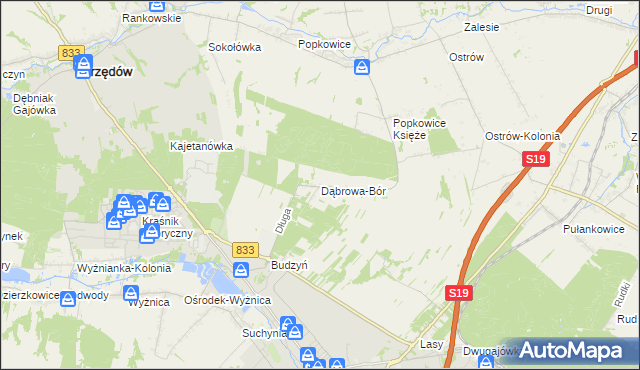 mapa Dąbrowa-Bór, Dąbrowa-Bór na mapie Targeo