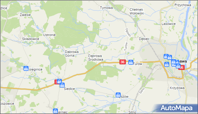 mapa Dąbrowa Dolna gmina Ścinawa, Dąbrowa Dolna gmina Ścinawa na mapie Targeo