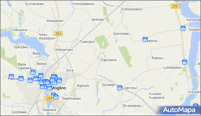 mapa Dąbrówka gmina Mogilno, Dąbrówka gmina Mogilno na mapie Targeo