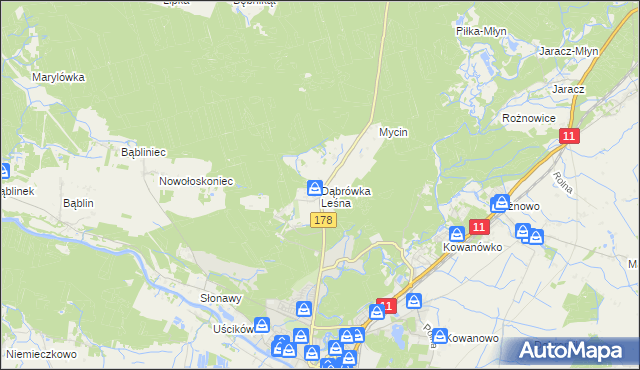 mapa Dąbrówka Leśna, Dąbrówka Leśna na mapie Targeo