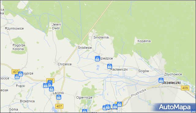 mapa Dziedzice gmina Strzeleczki, Dziedzice gmina Strzeleczki na mapie Targeo