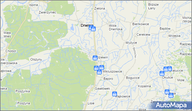 mapa Dziewin gmina Drwinia, Dziewin gmina Drwinia na mapie Targeo