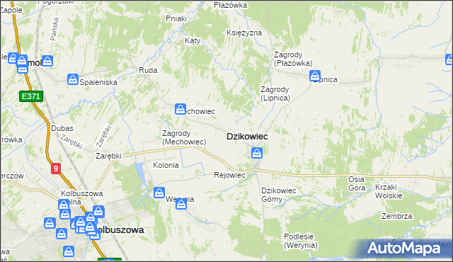 mapa Dzikowiec powiat kolbuszowski, Dzikowiec powiat kolbuszowski na mapie Targeo