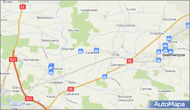 mapa Fabianów gmina Nowe Skalmierzyce, Fabianów gmina Nowe Skalmierzyce na mapie Targeo