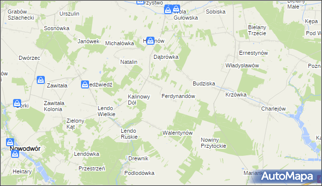 mapa Ferdynandów gmina Adamów, Ferdynandów gmina Adamów na mapie Targeo