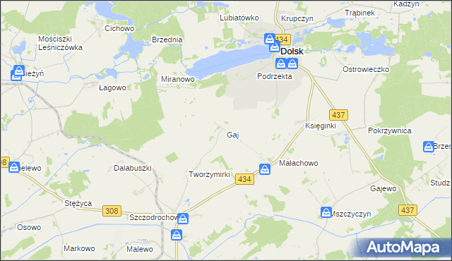 mapa Gaj gmina Gostyń, Gaj gmina Gostyń na mapie Targeo