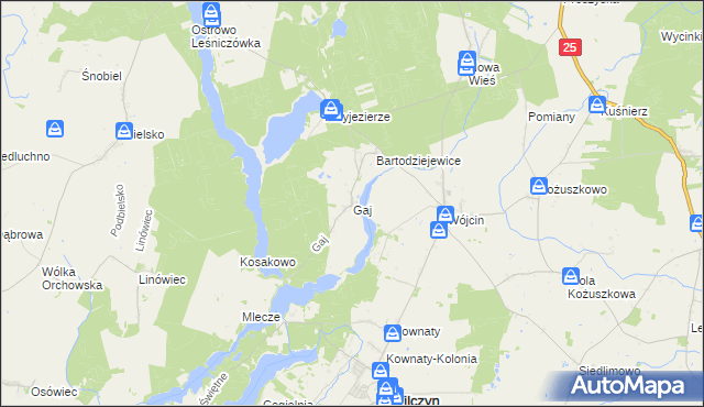 mapa Gaj gmina Jeziora Wielkie, Gaj gmina Jeziora Wielkie na mapie Targeo