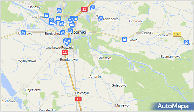 mapa Gołaszyn gmina Oborniki, Gołaszyn gmina Oborniki na mapie Targeo