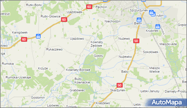 mapa Gołoty gmina Ciechanów, Gołoty gmina Ciechanów na mapie Targeo