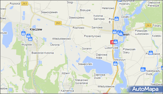 mapa Goranin gmina Ślesin, Goranin gmina Ślesin na mapie Targeo