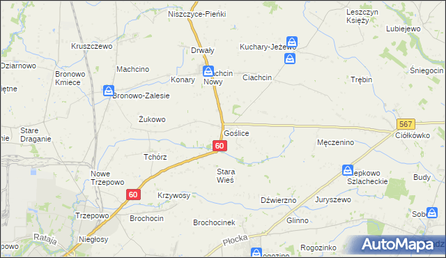 mapa Goślice, Goślice na mapie Targeo