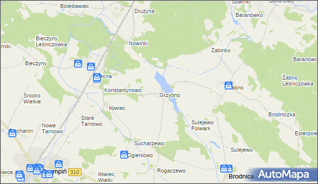 mapa Grzybno gmina Brodnica, Grzybno gmina Brodnica na mapie Targeo