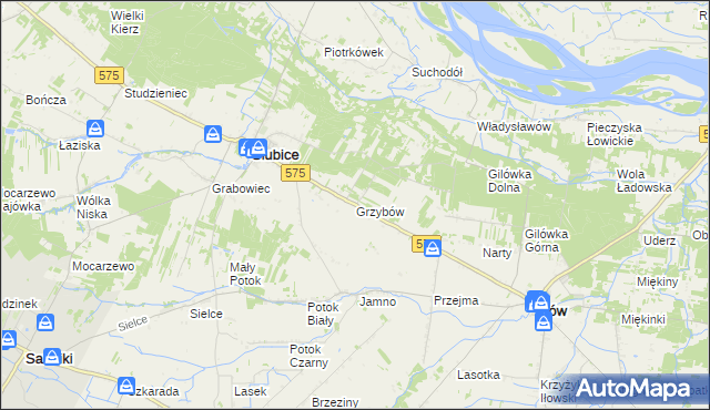 mapa Grzybów gmina Słubice, Grzybów gmina Słubice na mapie Targeo