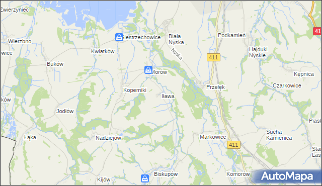 mapa Iława gmina Nysa, Iława gmina Nysa na mapie Targeo