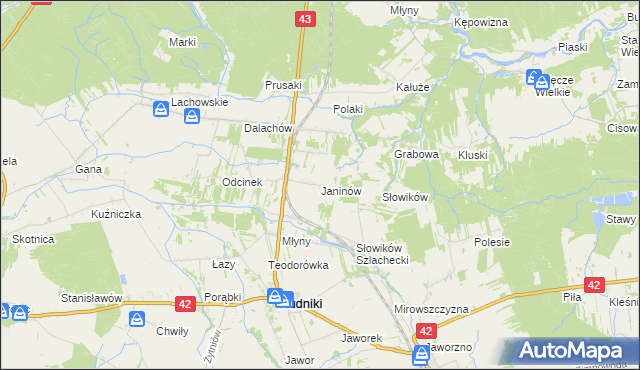 mapa Janinów gmina Rudniki, Janinów gmina Rudniki na mapie Targeo