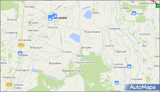 mapa Janiszew gmina Brudzew, Janiszew gmina Brudzew na mapie Targeo