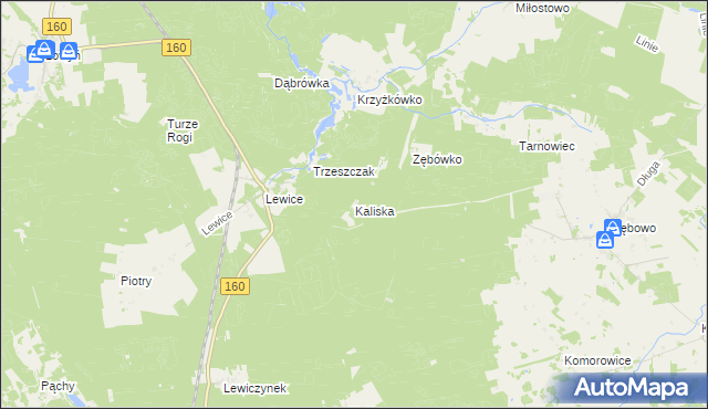 mapa Kaliska gmina Międzychód, Kaliska gmina Międzychód na mapie Targeo
