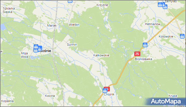 mapa Kałkowskie, Kałkowskie na mapie Targeo