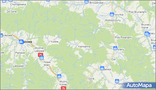 mapa Kamianna, Kamianna na mapie Targeo