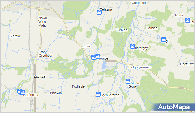 mapa Kopice gmina Grodków, Kopice gmina Grodków na mapie Targeo