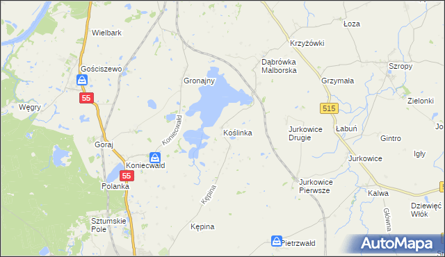 mapa Koślinka gmina Sztum, Koślinka gmina Sztum na mapie Targeo