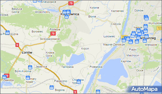 mapa Krzcin, Krzcin na mapie Targeo