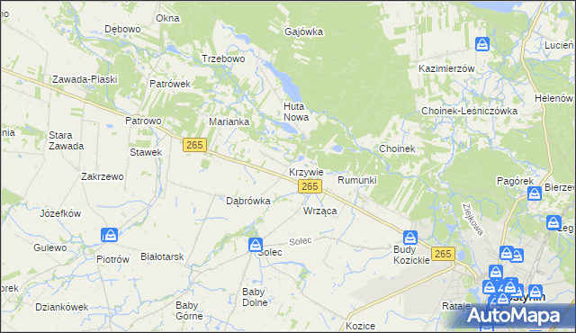 mapa Krzywie gmina Gostynin, Krzywie gmina Gostynin na mapie Targeo
