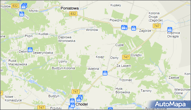 mapa Książ gmina Chodel, Książ gmina Chodel na mapie Targeo