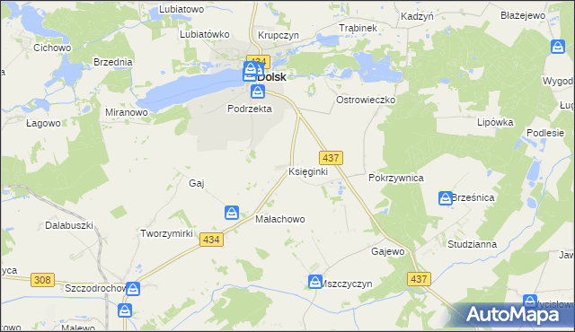 mapa Księginki gmina Dolsk, Księginki gmina Dolsk na mapie Targeo