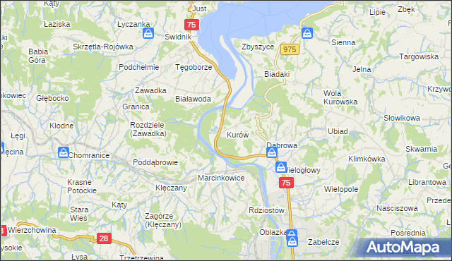 mapa Kurów gmina Chełmiec, Kurów gmina Chełmiec na mapie Targeo