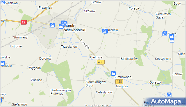 mapa Leonów gmina Borek Wielkopolski, Leonów gmina Borek Wielkopolski na mapie Targeo