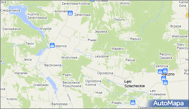 mapa Lesiopole, Lesiopole na mapie Targeo