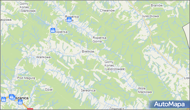 mapa Leszczowate, Leszczowate na mapie Targeo