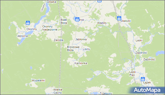 mapa Lisiny gmina Śliwice, Lisiny gmina Śliwice na mapie Targeo