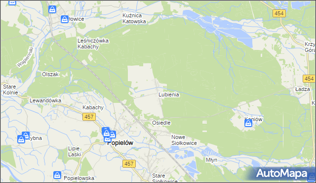 mapa Lubienia gmina Popielów, Lubienia gmina Popielów na mapie Targeo