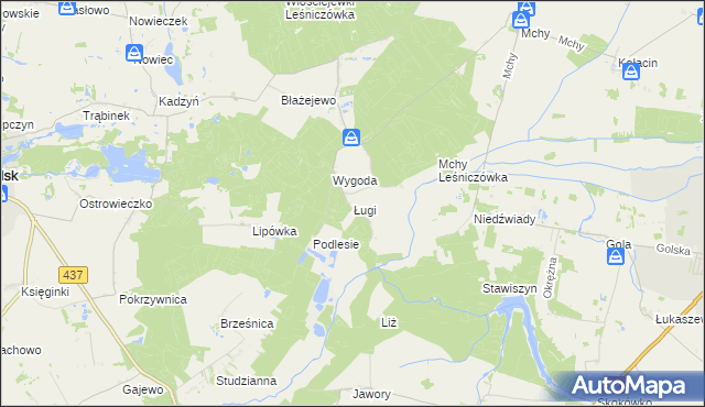 mapa Ługi gmina Książ Wielkopolski, Ługi gmina Książ Wielkopolski na mapie Targeo