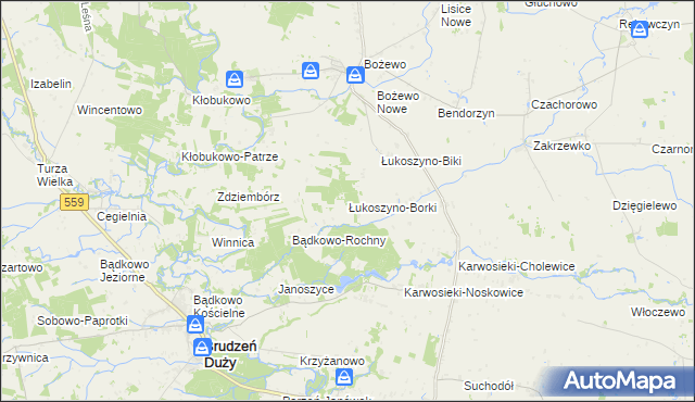 mapa Łukoszyno-Borki, Łukoszyno-Borki na mapie Targeo