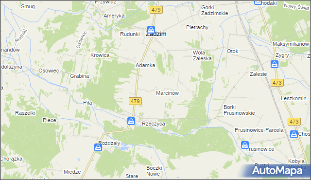 mapa Marcinów gmina Zadzim, Marcinów gmina Zadzim na mapie Targeo