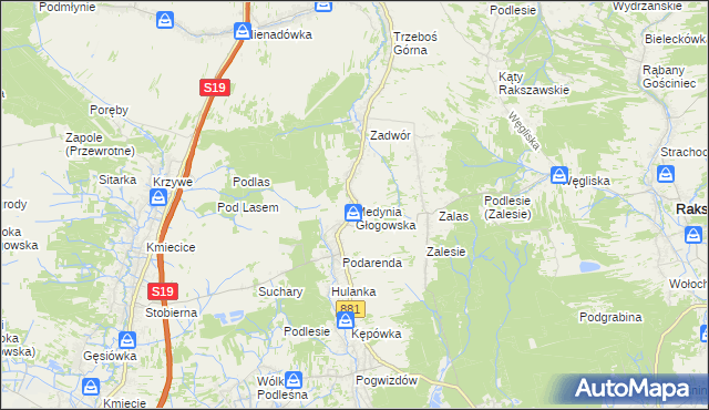 mapa Medynia Głogowska, Medynia Głogowska na mapie Targeo