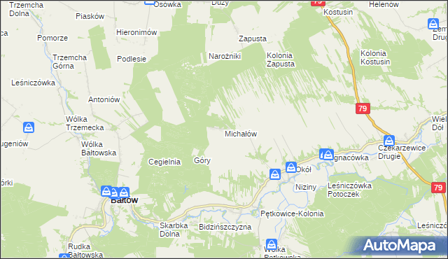 mapa Michałów gmina Bałtów, Michałów gmina Bałtów na mapie Targeo