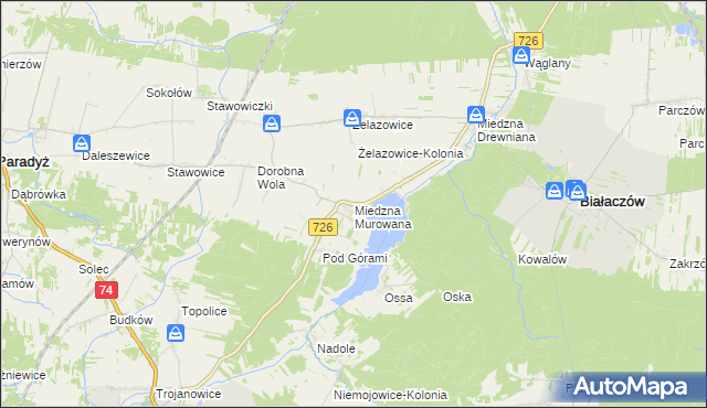 mapa Miedzna Murowana, Miedzna Murowana na mapie Targeo