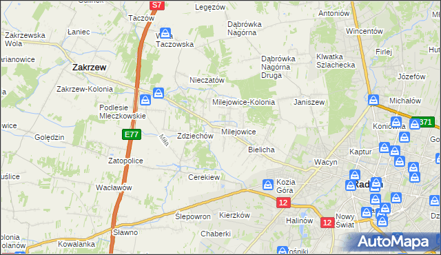 mapa Milejowice gmina Zakrzew, Milejowice gmina Zakrzew na mapie Targeo