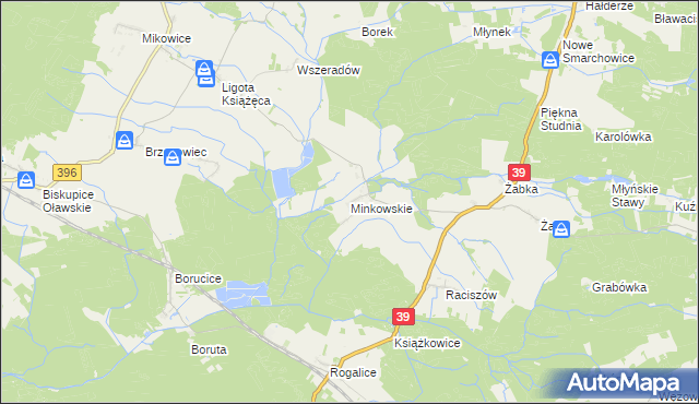 mapa Minkowskie, Minkowskie na mapie Targeo