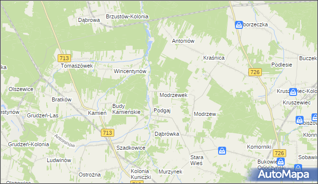 mapa Modrzewek gmina Opoczno, Modrzewek gmina Opoczno na mapie Targeo